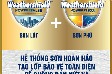 Chống rạn nứt và thấm ẩm: Chỉ sơn phủ đã đủ?