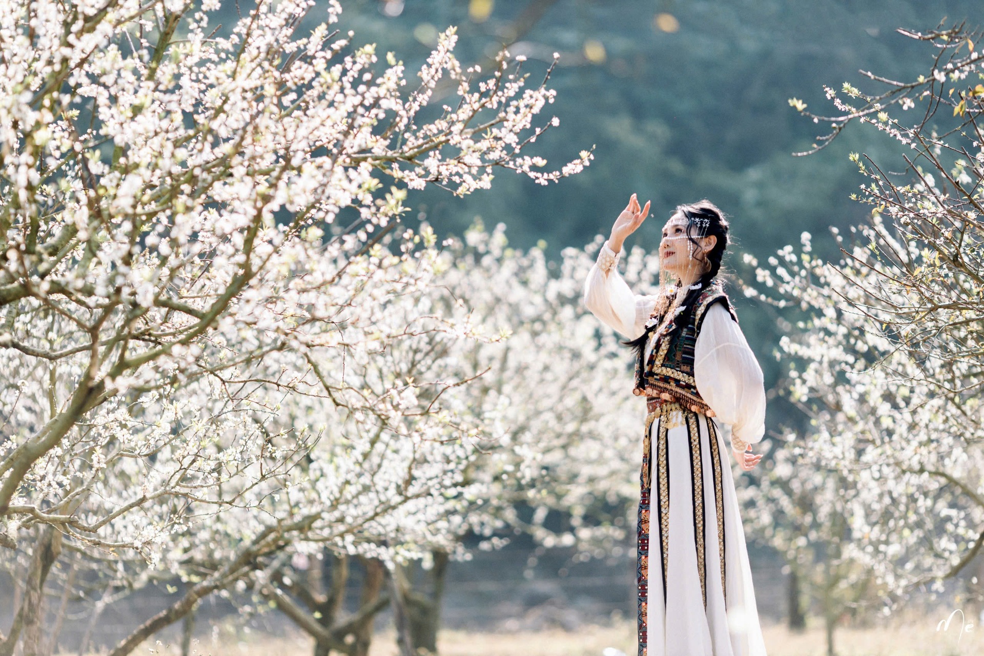 Những điểm chụp hoa đẹp ở Mộc Châu - 2 Những điểm chụp hoa đẹp ở Mộc Châu - 2