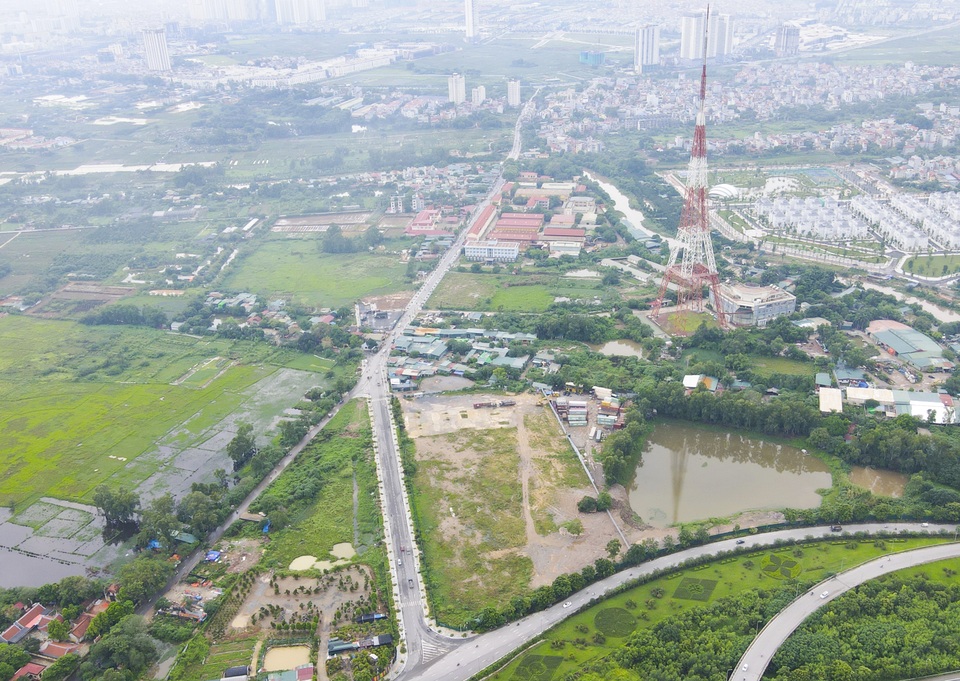 Hà Nội: Hàng trăm cây xanh tiếp tục đột tử trên con đường mới mở - 15 Hà Nội: Hàng trăm cây xanh tiếp tục đột tử trên con đường mới mở - 15