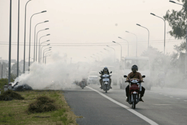 Để chấm dứt hiện tượng đốt rơm rạ trên đường giao thông