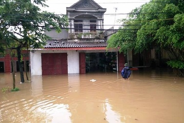 Ninh Bình phát lệnh hộ đê toàn tuyến, sẵn sàng di dân khẩn cấp