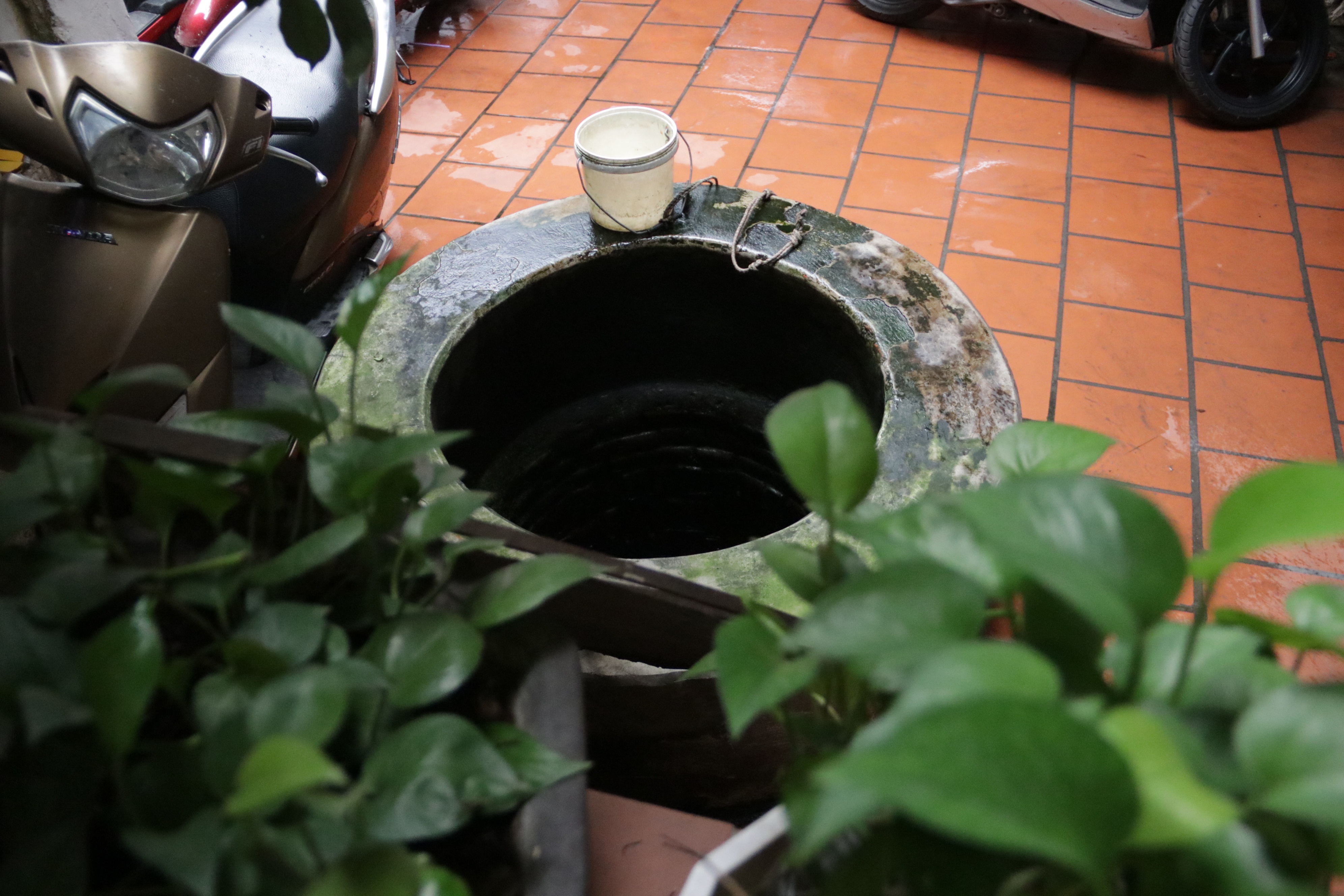 Hà Nội: Hàng chục giếng cổ ẩn mình trong lòng phố cổ - 3 Hà Nội: Hàng chục giếng cổ ẩn mình trong lòng phố cổ - 3