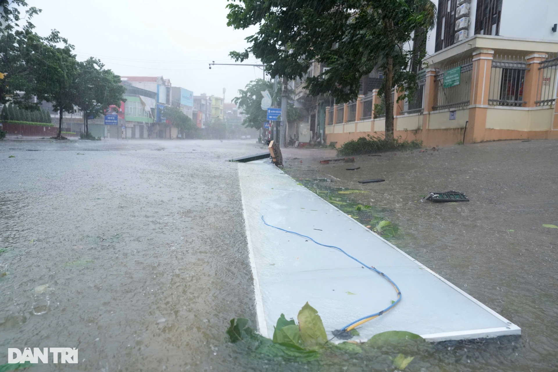 Trước giờ bão Yagi đổ bộ Quảng Ninh: Cây xanh gẫy đổ, tôn bay la liệt - 13 Trước giờ bão Yagi đổ bộ Quảng Ninh: Cây xanh gẫy đổ, tôn bay la liệt - 13