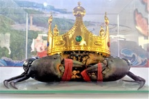 Cận cảnh con cua lớn nhất Cà Mau được đội vương miện như "vua"