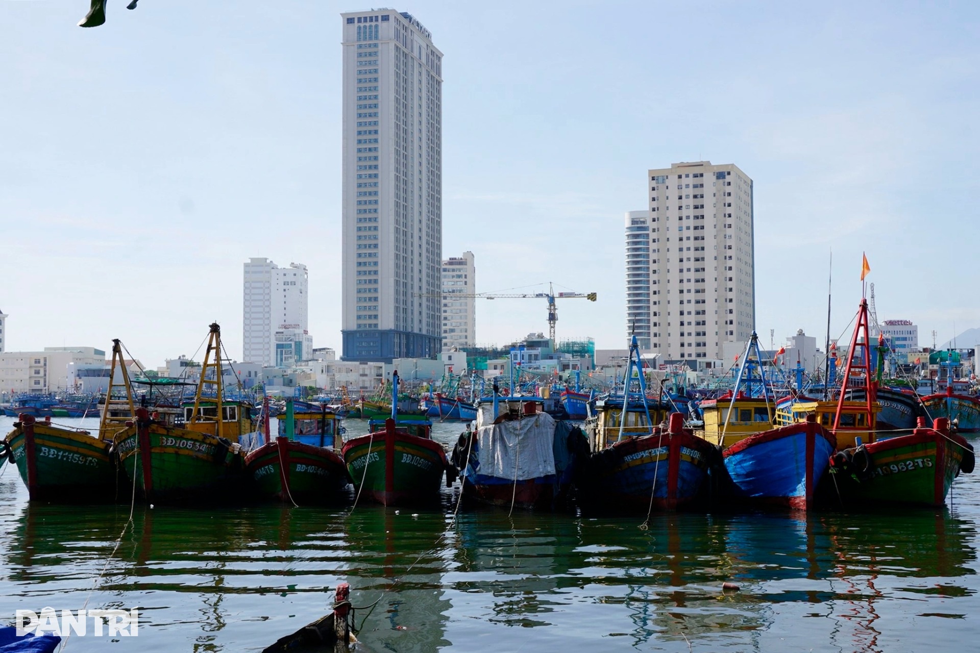 Gia Lai cấm tàu “2 không” ra khơi khai thác thủy sản - 2
