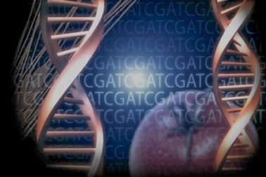 Vai trò của di truyền học trong chẩn đoán và điều trị ung thư