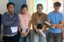 Làm giả hồ sơ trục lợi bảo hiểm hơn nửa tỷ đồng, 10 đối tượng bị khởi tố