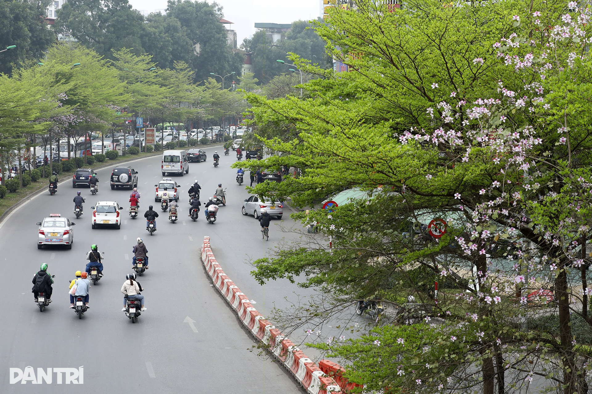 Xanh mát những cung đường mùa xuân trong lòng Hà Nội - 1 Xanh mát những cung đường mùa xuân trong lòng Hà Nội - 1