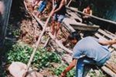 Sống chung với... cá thối