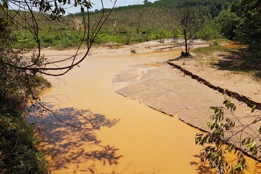 Cá chết ở sông Bồng Miêu: Doanh nghiệp và người dân cùng "đầu độc"?