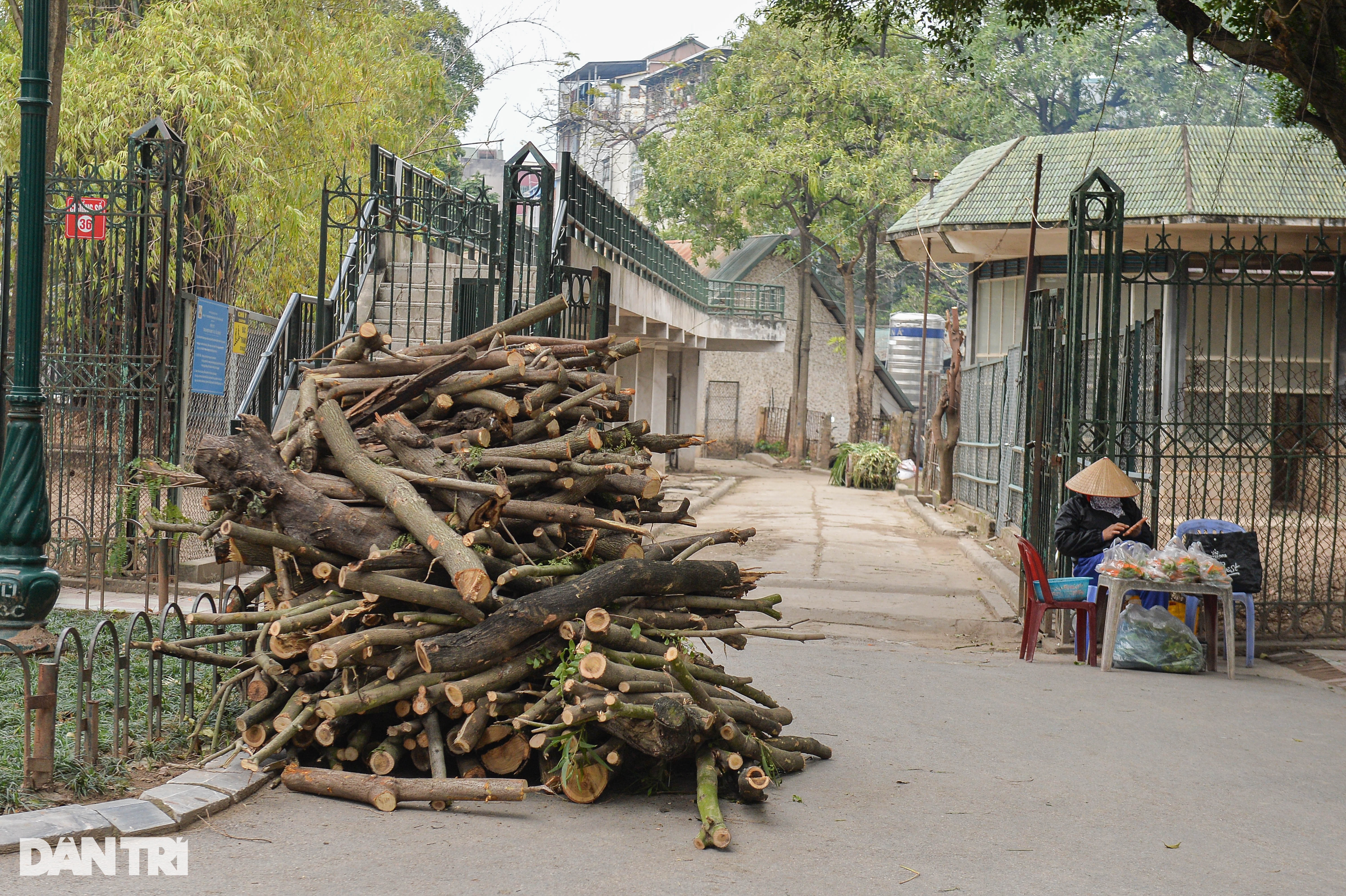Đốt lửa, bật nước nóng để sưởi ấm cho động vật ở vườn thú Hà Nội - 5 Đốt lửa, bật nước nóng để sưởi ấm cho động vật ở vườn thú Hà Nội - 5