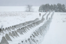 "Gió đổi chiều", Ukraine chuyển sang phòng ngự chiến lược, ngăn đà sụp đổ