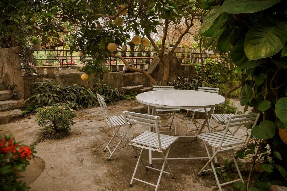 Khu vườn rộng 50.000 m2, chứa hàng nghìn cây quý của người phụ nữ Hà Nội - 8 Khu vườn rộng 50.000 m2, chứa hàng nghìn cây quý của người phụ nữ Hà Nội - 8