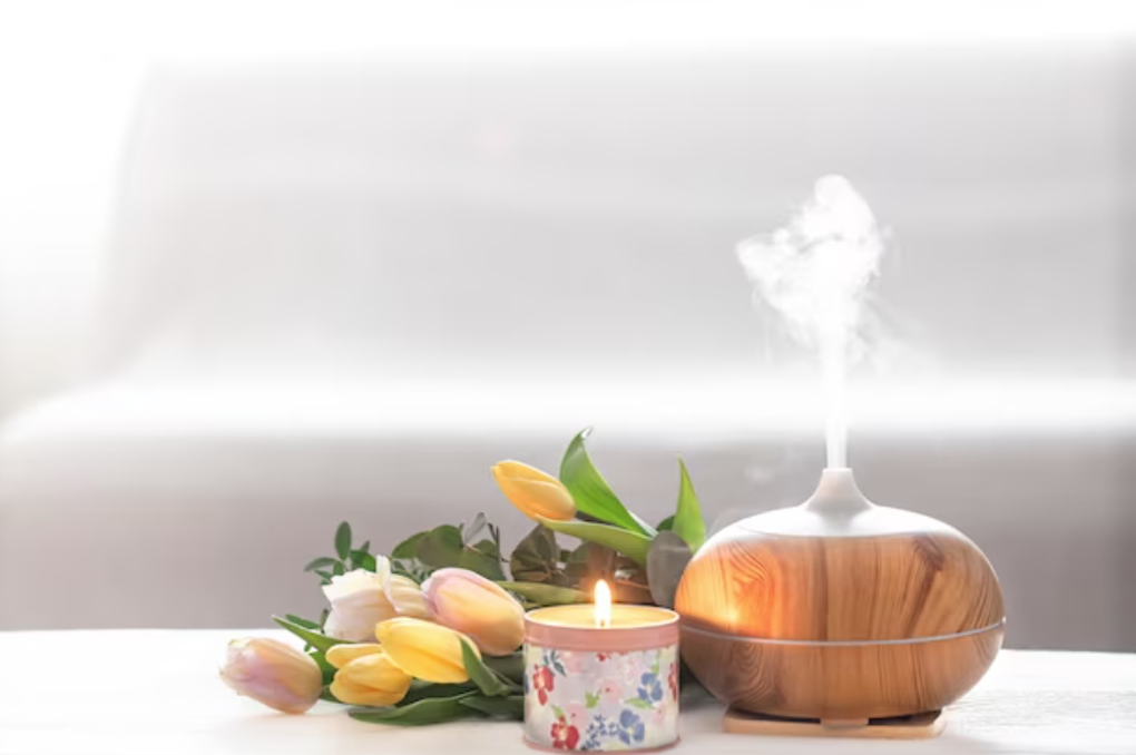 Hội chị em đau đầu tìm cách ngăn côn trùng, giữ nhà cửa sạch sẽ - 2 Hội chị em đau đầu tìm cách ngăn côn trùng, giữ nhà cửa sạch sẽ - 2