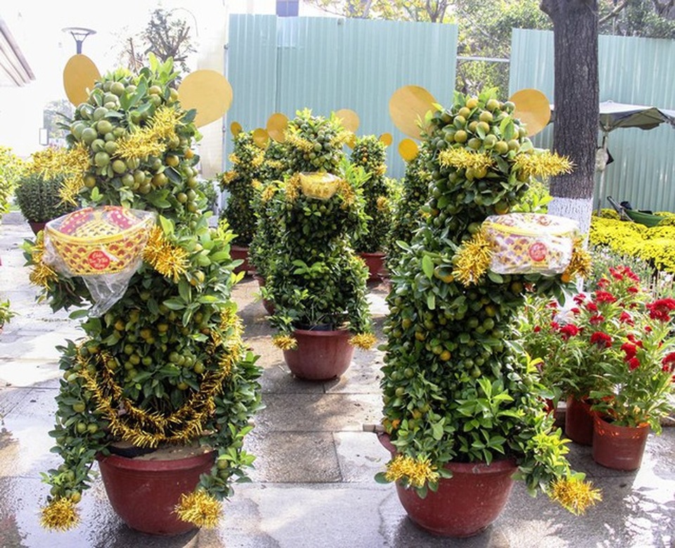 Mãn nhãn những cây cảnh tạo hình chuột độc đáo chào năm mới Canh Tý - 10 Mãn nhãn những cây cảnh tạo hình chuột độc đáo chào năm mới Canh Tý - 10