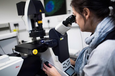 Hy vọng mới cho bệnh nhân bị u lympho Hodgkin