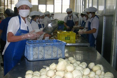 Ngộ độc thực phẩm tập thể bước đầu được ngăn chặn