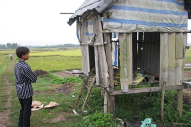 Đi chăn trâu, một học sinh bị sét đánh chết