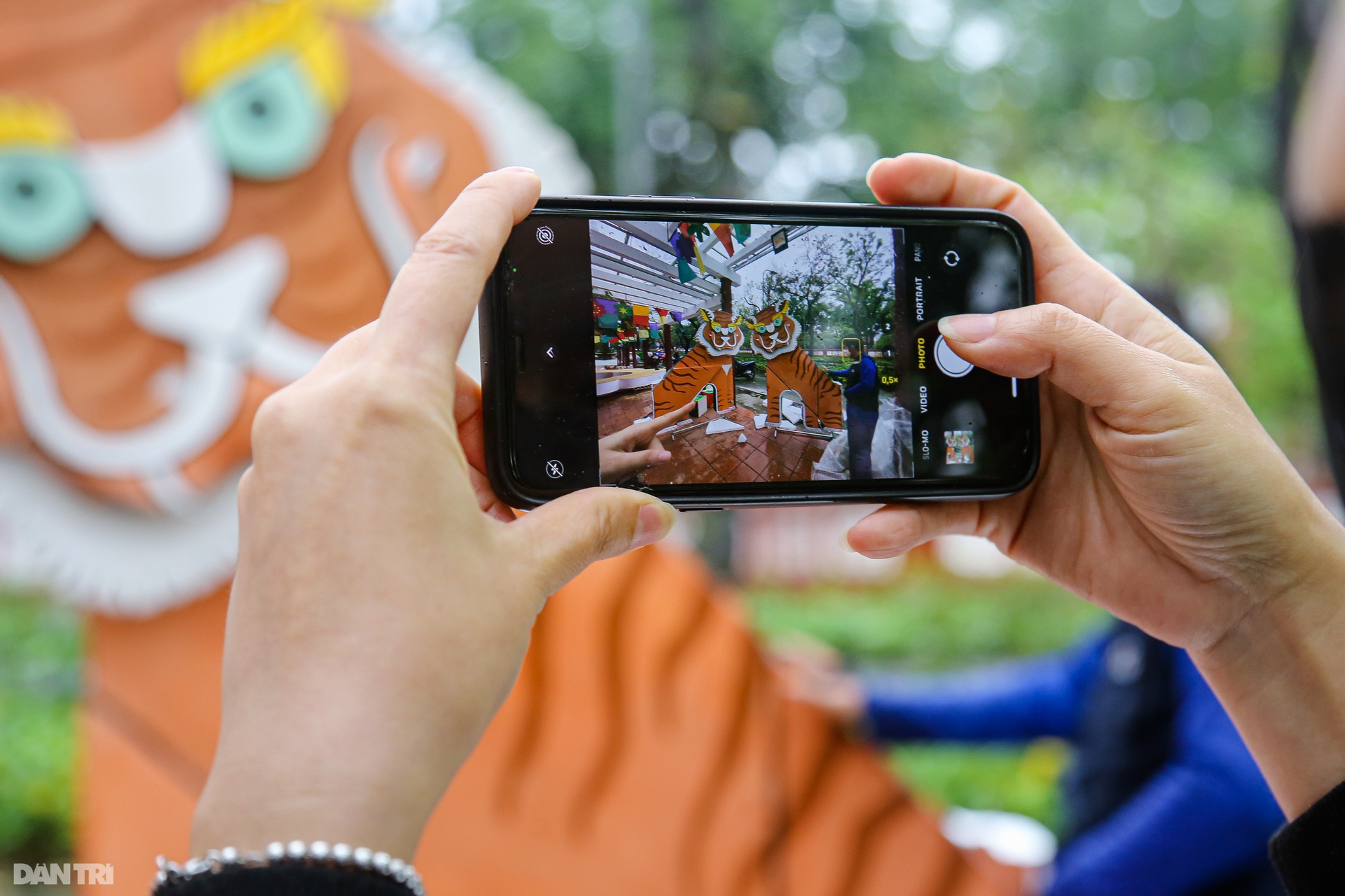 Người dân xứ Huế háo hức đợi xem hình tượng hổ từ TPHCM mang về Hội Xuân - 9