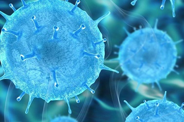 Các nhà khoa học Nga thử nghiệm virus có thể tiêu diệt tế bào ung thư