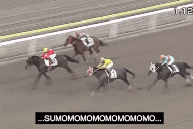 Chú ngựa có tên gọi "siêu dài" khiến bình luận viên thể thao "khủng hoảng"