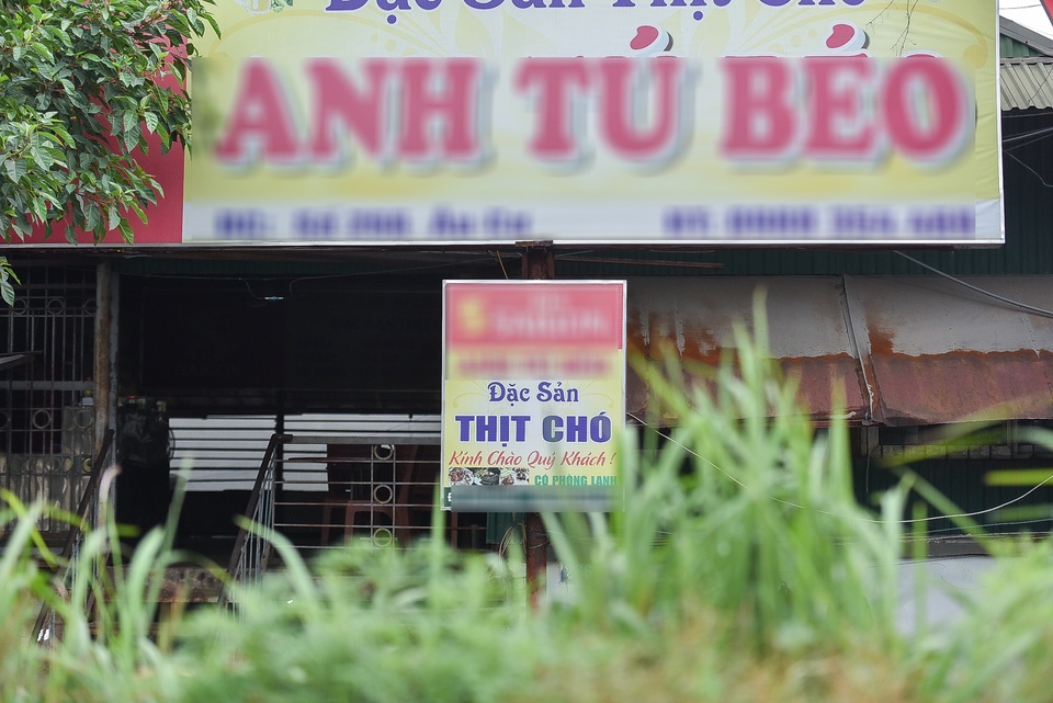 “Thủ phủ thịt chó Nhật Tân – nơi khách ăn nhậu cả ngày lẫn đêm giờ ra sao? - 4 “Thủ phủ thịt chó Nhật Tân – nơi khách ăn nhậu cả ngày lẫn đêm giờ ra sao? - 4