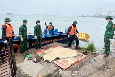 Tìm thấy nạn nhân thứ 37 vụ lật tàu Vịnh Xanh 58