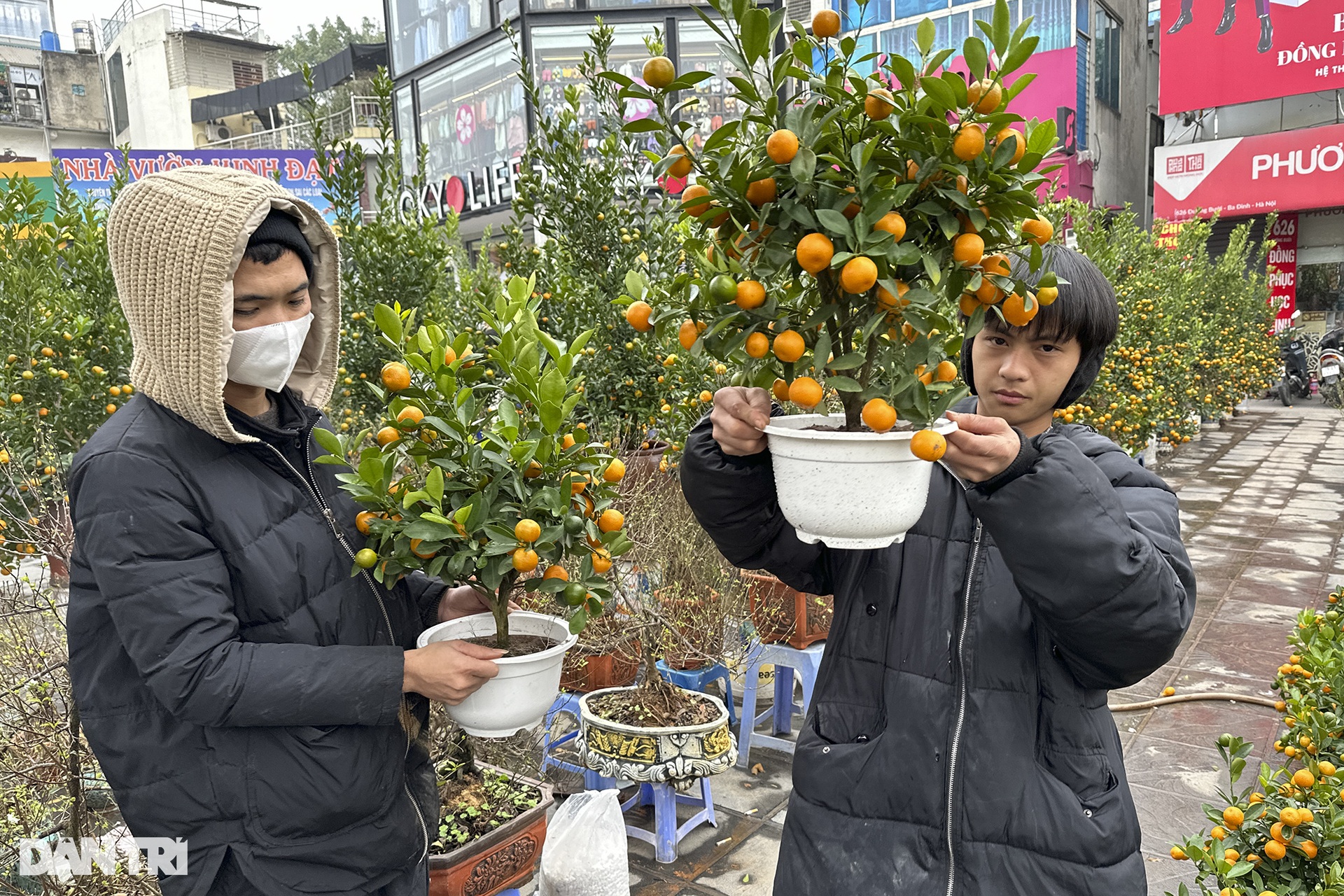 People flocked to Lac Long Quan flower market to shop for Tet - October