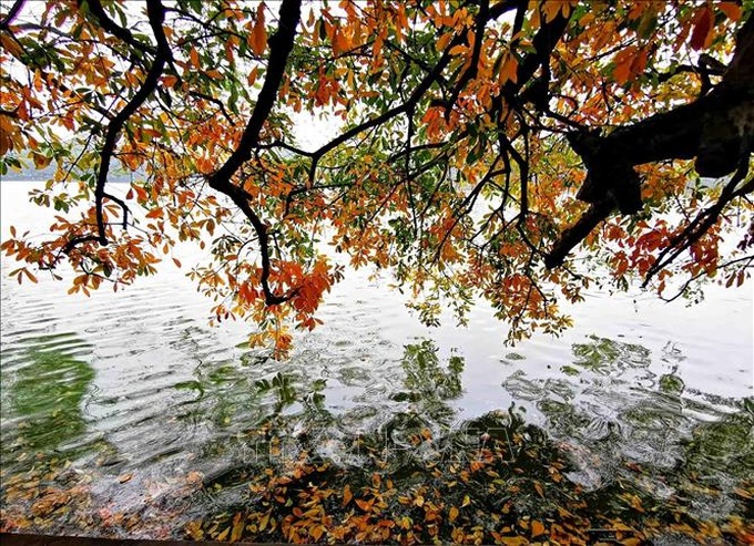 Vẻ đẹp Thu Hà Nội. Ảnh minh họa.