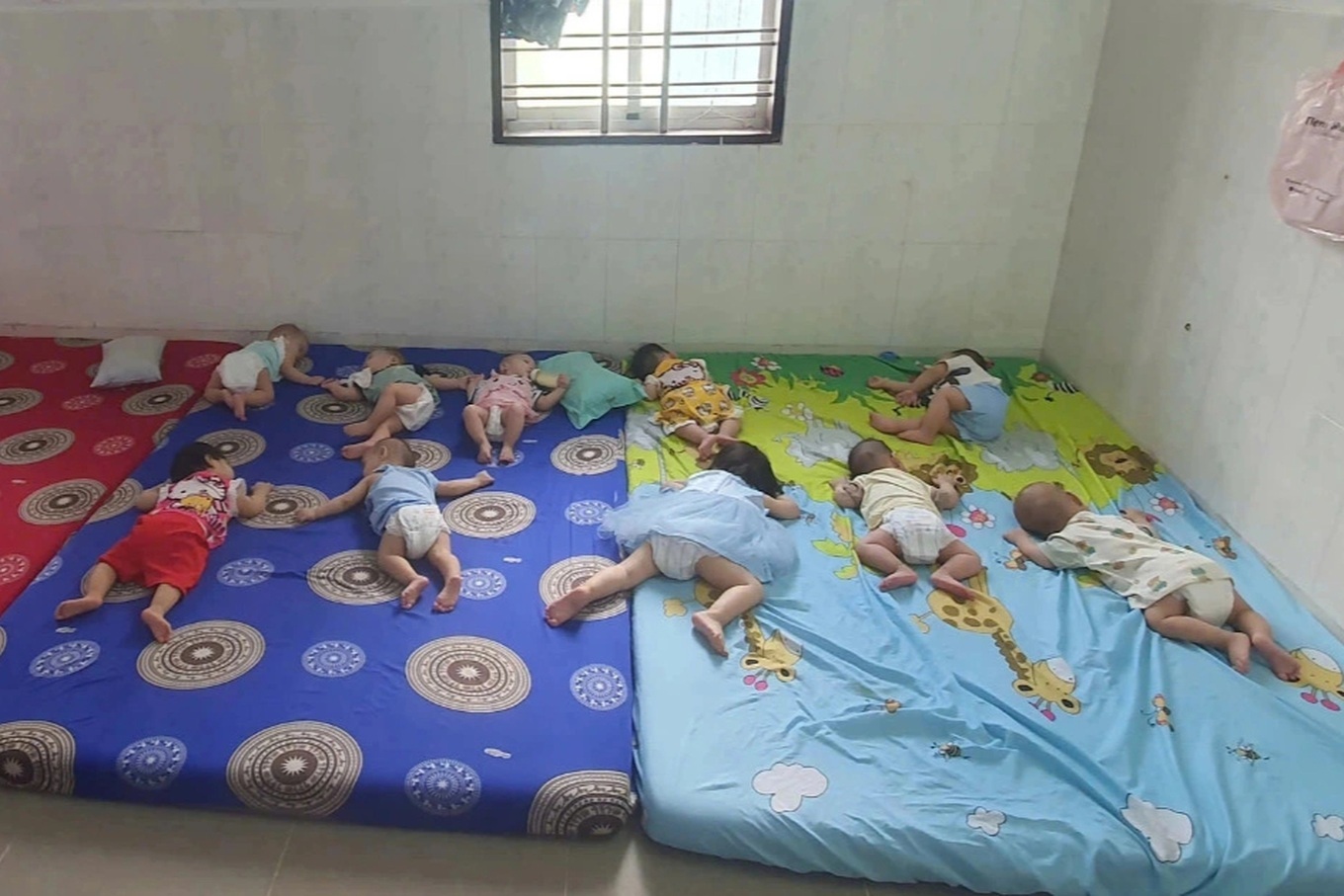 Vụ bạo hành trẻ em ở Mái ấm Hoa Hồng: Cần nghiêm trị! - 1 Vụ bạo hành trẻ em ở Mái ấm Hoa Hồng: Cần nghiêm trị! - 1