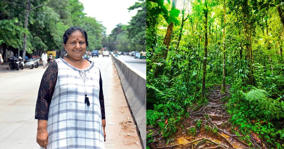 Ngưỡng mộ người phụ nữ trồng hơn 73.000 cây phủ xanh nơi mình sống - 3