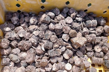 Ngư dân phát hiện "kho báu" gần 8 tạ kẽm xu dưới đáy biển