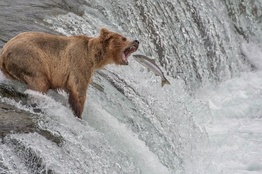 National Geographic công bố những bức hình đẹp nhất 2014