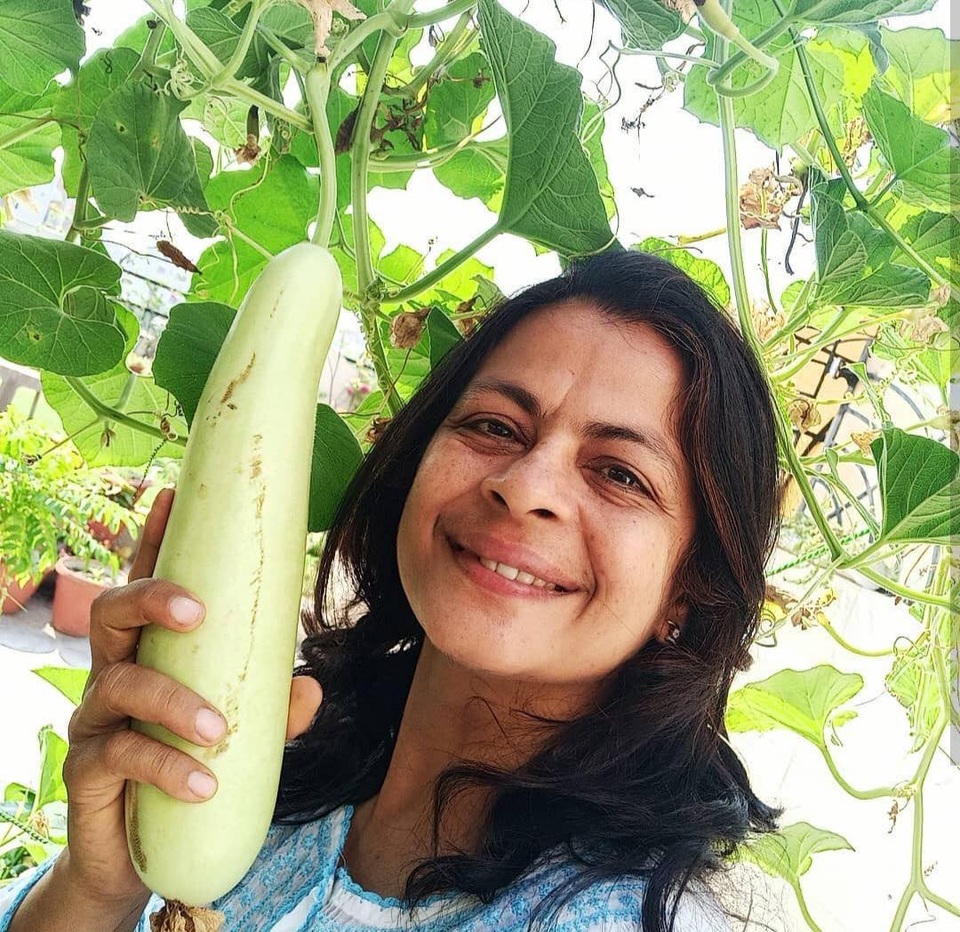 Mát mắt với khu vườn 240m2 trên sân thượng tầng 7 xanh tốt như nông trại - 4