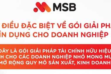 7 điều đặc biệt về gói giải pháp “Tín dụng cho doanh nghiệp nhỏ”