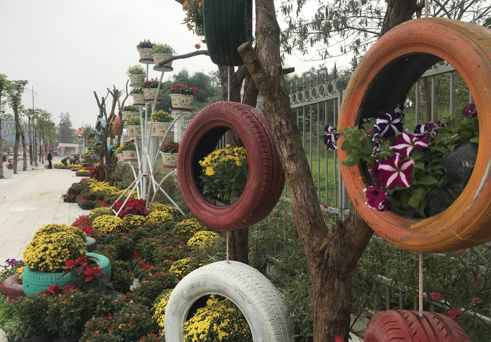 Ấn tượng những đường hoa rực rỡ sắc màu đón Tết ở thành Vinh  - 15
