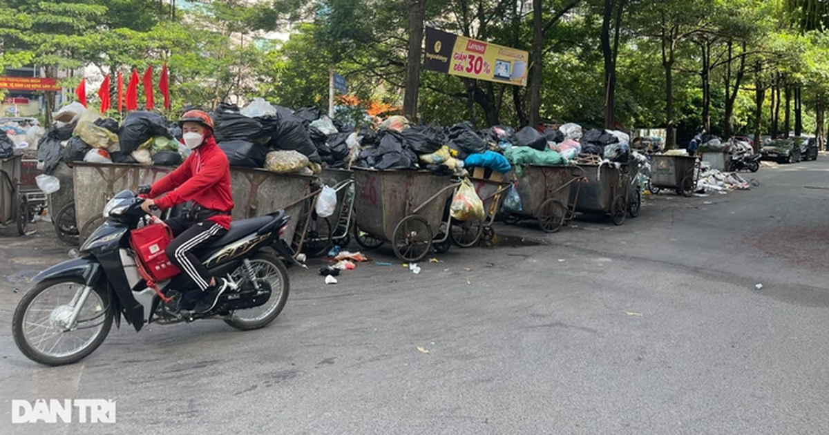 Sắp đến lúc xả rác càng nhiều, nộp tiền càng cao | Báo Dân trí