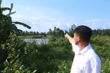 Ruộng đồng mênh mông nhưng... “không lối thoát”, dân bất lực đứng nhìn