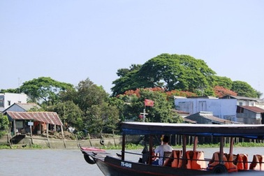 Du lịch Việt: Khổ từ tài xế đến nhà vệ sinh