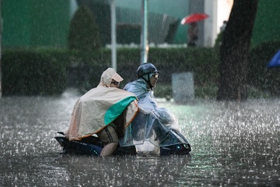 Chẳng cha mẹ nào muốn ép con mình học nhiều cả!