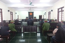 Chặt hạ cây nghiến trăm tuổi, 9 đối tượng phải lĩnh án tù