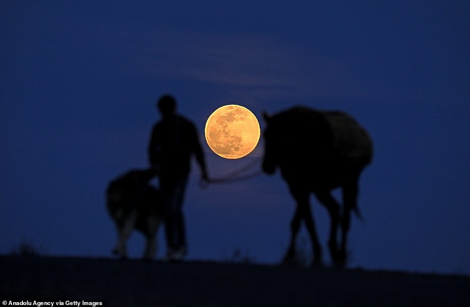 Kỳ thú hiện tượng siêu trăng trên khắp các điểm đến nổi tiếng thế giới - 11 Kỳ thú hiện tượng siêu trăng trên khắp các điểm đến nổi tiếng thế giới - 11