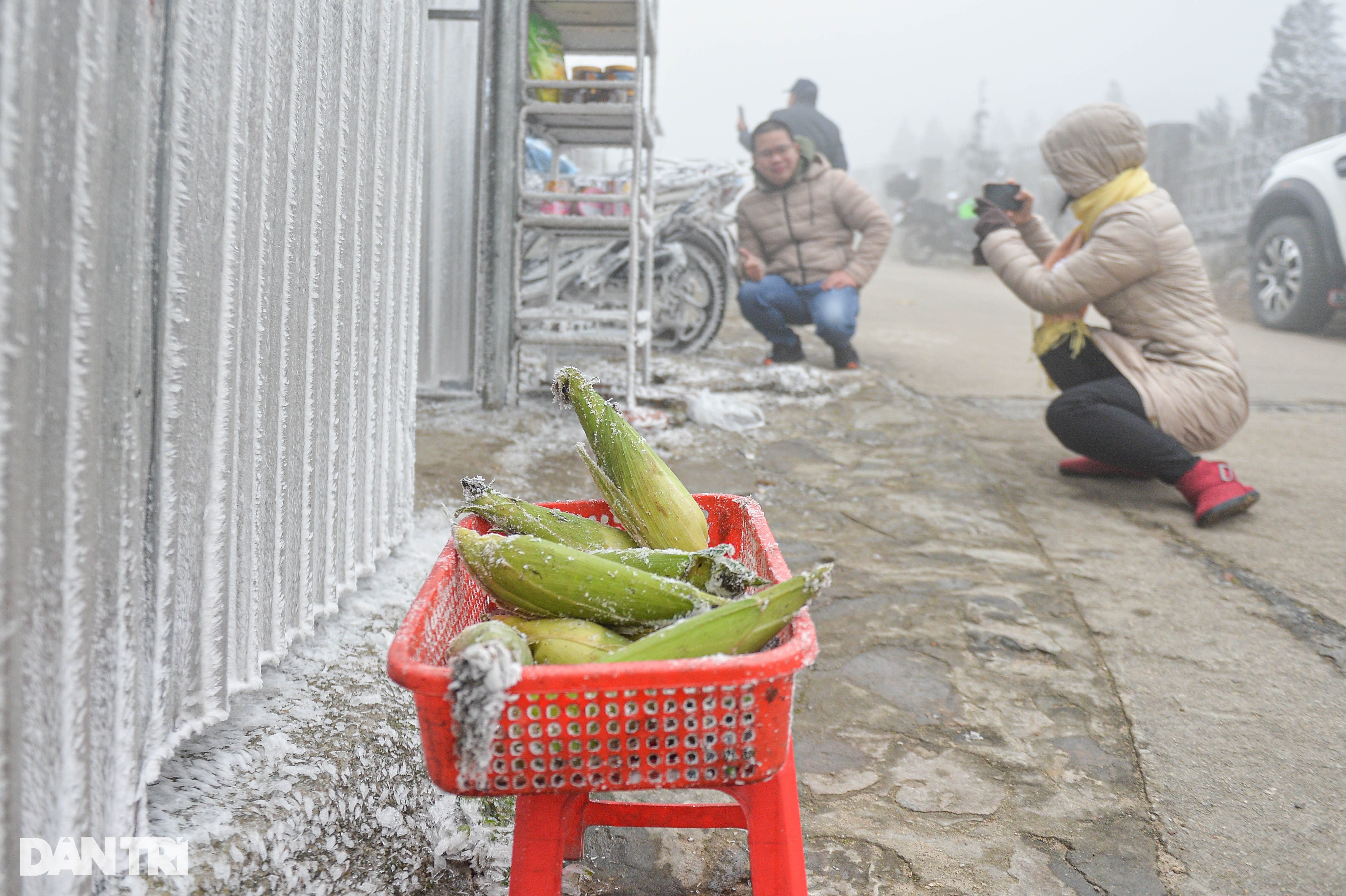 Rét -3 độ C, quán ăn trên đỉnh Mẫu Sơn vẫn đón 300-400 khách một ngày - 4