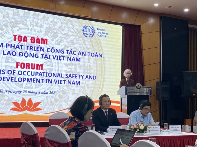 Bà Ingrid Christensen, Giám đốc ILO Việt Nam, Việt Nam