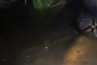 Hướng dẫn viên du lịch bị con trăn dài 6m kéo xuống nước, siết chặt vào cổ