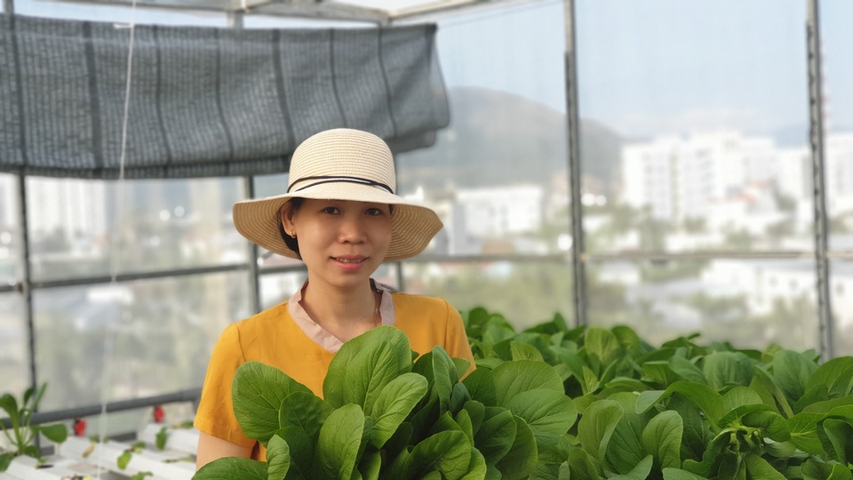 Choáng ngợp vườn rau sân thượng, toàn cây “khổng lồ” của ông bố đảm Nha Trang - 19 Choáng ngợp vườn rau sân thượng, toàn cây “khổng lồ” của ông bố đảm Nha Trang - 19