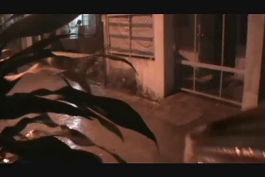 Cơn mưa "vàng" xuất hiện ở Tp Cần Thơ.