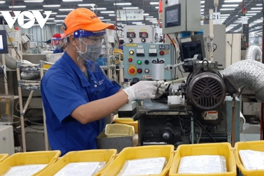 "Tiền lương hưu phải đảm bảo mức sống tối thiểu"