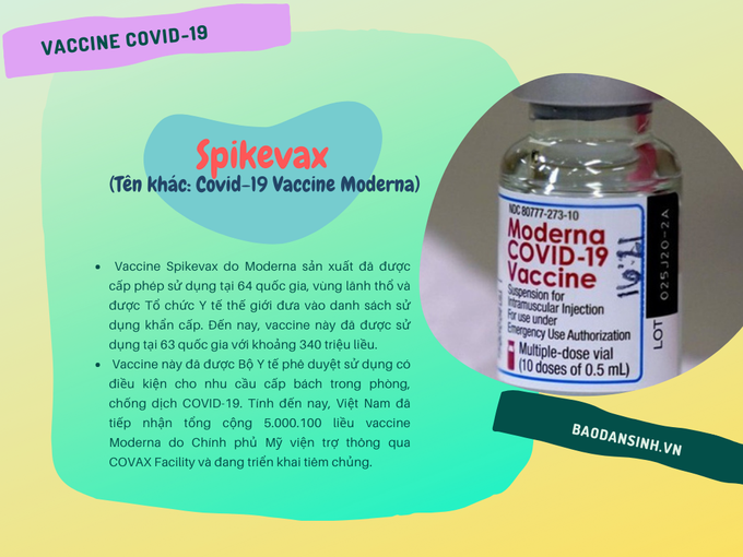 Các loại vaccine đã được cấp phép tại Việt Nam - Ảnh 5.