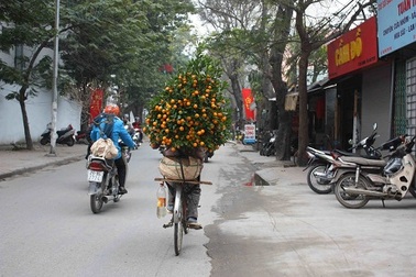 Chuyện kể hài hước về Tết Hà Nội của một thanh niên Mỹ